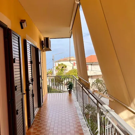 Glicine ザンブローネ